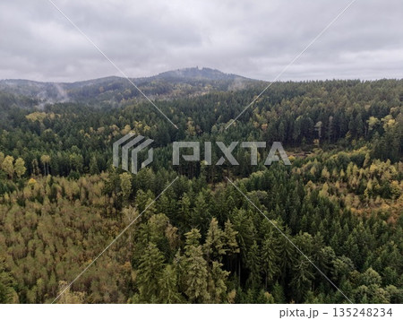Examining Tree Placements And Water Supply Resilience Through Aerial Imagery In Cloudy Weather Conditions Examining Tree Placements And Water Supply Resilience Through Aerial Imagery In Cloudy Weather Conditions 135248234