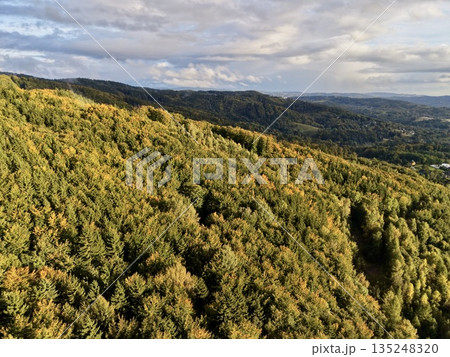 Bright Autumn Hillside With Dense Trees And Trail Through Colorful Leaves For Outdoor Activities Bright Autumn Hillside With Dense Trees And Trail Through Colorful Leaves For Outdoor Activities 135248320
