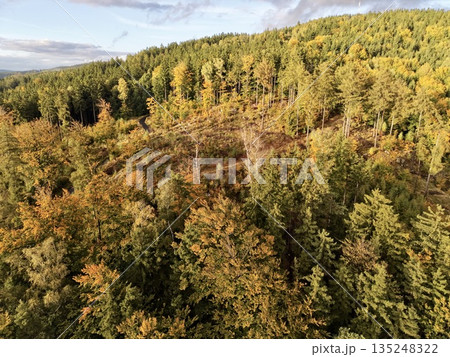 Sunlit Treetops Under Evening Light, Landscape From Above During Sunset Illuminating Foliage Sunlit Treetops Under Evening Light, Landscape From Above During Sunset Illuminating Foliage 135248322