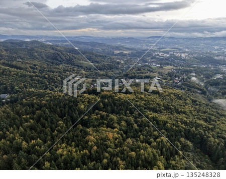 Dense Forest Area Featuring Winding Pathways, Expansive Woodland With Meandering Roads Under Cloudy Skies 135248328