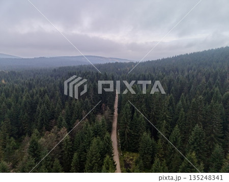 Trail Cutting Through Dense Woodland Trees, Serene Forest Pathway Beneath Overcast Grey Sky Trail Cutting Through Dense Woodland Trees, Serene Forest Pathway Beneath Overcast Grey Sky 135248341