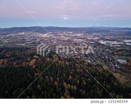 An Evening View Showcasing Seamless Integration Of City Streets And Forest Trees Under Gentle Purple Sky 135248354