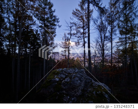 Nighttime Forest Scene, Tranquil Nighttime Setting Featuring Tall Pines And Rocky Hill Under Glowing Moon Nighttime Forest Scene, Tranquil Nighttime Setting Featuring Tall Pines And Rocky Hill Under Glowing Moon 135248371