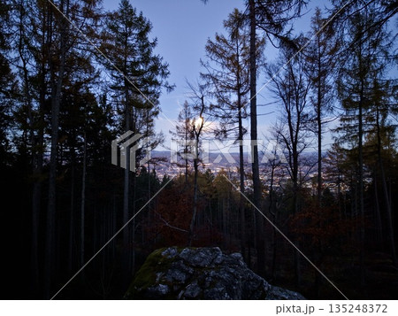 Lunar Evening Scene With Pine Silhouettes, Moonlit Wilderness Featuring Rocky Trees And Soft Dusk Hues 135248372