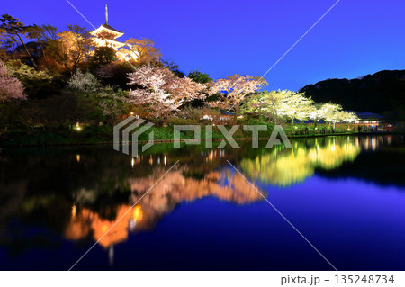 【神奈川県】三渓園の三重塔と夜桜 135248734