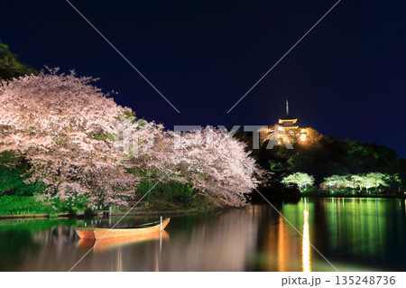 【神奈川県】三渓園の三重塔と夜桜 135248736