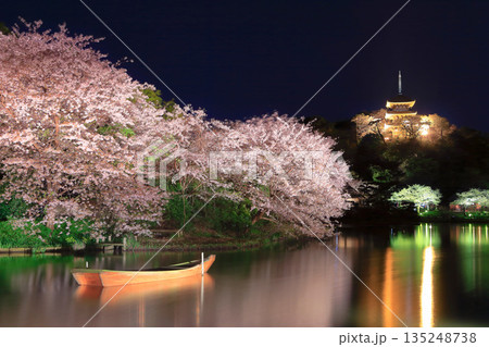 【神奈川県】三渓園の三重塔と夜桜 135248738