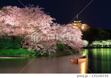 【神奈川県】三渓園の三重塔と夜桜 135248739