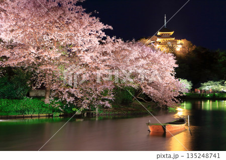 【神奈川県】三渓園の三重塔と夜桜 135248741