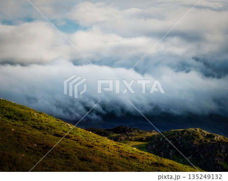 Green hills with grazing sheep are partially obscured by heavy fog and low clouds in the Highlands. The light shines on the hills creating a contrast with the approaching storm. 135249132