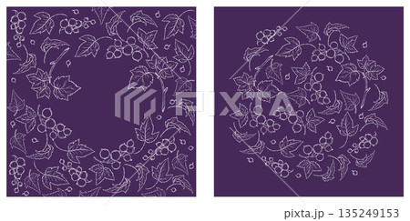Currant Berry Square Cards. White Line Art Botanical Frames on Dark Purple Background. Vector illustration. Not AI Currant Berry Square Cards. White Line Art Botanical Frames on Dark Purple Background. Vector illustration. Not AI 135249153