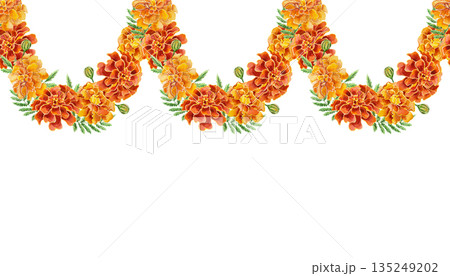 Marigold garland seamless border. Hand drawn watercolor illustration of flowers, isolated. Perfect for birthday, Day of the Dead and Diwali cards and invitations. 135249202