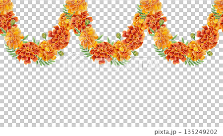 Marigold garland seamless border. Hand drawn watercolor illustration of flowers, isolated. Perfect for birthday, Day of the Dead and Diwali cards and invitations. 135249202
