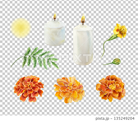Marigold and candle set. Flowers, bud, leaves, fire flame. Hand drawn watercolor illustration, isolated. Suitable for cards and invitations for birthdays, Day of the Dead and Diwali. Marigold and candle set. Flowers, bud, leaves, fire flame. Hand drawn watercolor illustration, isolated. Suitable for cards and invitations for birthdays, Day of the Dead and Diwali. 135249204