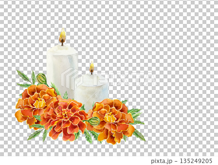 Marigolds and two candles. Hand drawn watercolor illustration of flowers, isolated. Suitable for cards and invitations for birthdays, Day of the Dead and Diwali. Marigolds and two candles. Hand drawn watercolor illustration of flowers, isolated. Suitable for cards and invitations for birthdays, Day of the Dead and Diwali. 135249205