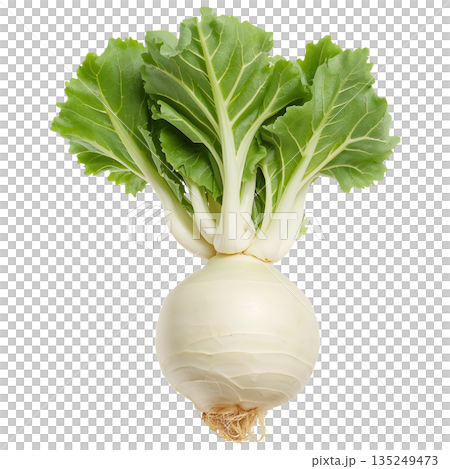 Fresh Turnip With Green Leaves Showing Close-Up on White Background 135249473
