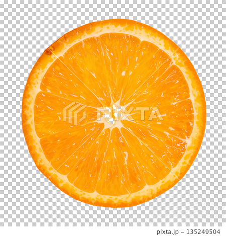 Fresh Orange Slice Shows Bright Color and Juicy Texture From a Citrus Fruit 135249504
