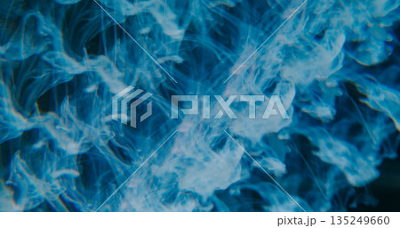 Defocused fume drop. Dye swirl. Blue steam liquid paint dissolving in water. Kaleidoscopic prism blending color abstract background. 135249660
