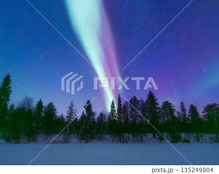 Magical Aurora Borealis dancing over a snowy winter forest.  135249804