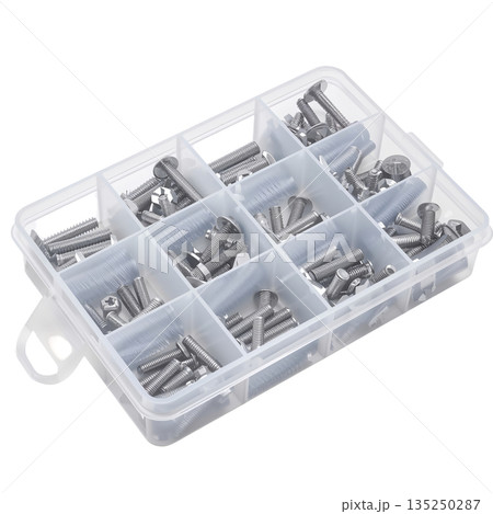 Collection of Metal Screws Stored in a Plastic Organizer Box With Separate Compartments 135250287