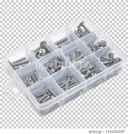 Collection of Metal Screws Stored in a Plastic Organizer Box With Separate Compartments Collection of Metal Screws Stored in a Plastic Organizer Box With Separate Compartments 135250287