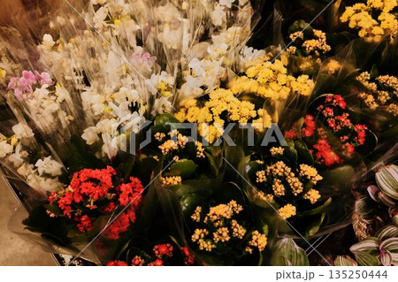 Fresh flowers in bright colors wrapped in plastic at a shop stand. The concept expresses abundance, freshness, and natural beauty Fresh flowers in bright colors wrapped in plastic at a shop stand. The concept expresses abundance, freshness, and natural beauty 135250444