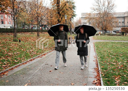 Two men walk along a park path covered with autumn leaves, holding umbrellas on a rainy day. The scene reflects the concept of companionship and everyday movement Two men walk along a park path covered with autumn leaves, holding umbrellas on a rainy day. The scene reflects the concept of companionship and everyday movement 135250530