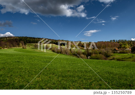 Rural Summer Landscape With Forest And Green Pastures In Austria Rural Summer Landscape With Forest And Green Pastures In Austria 135250789