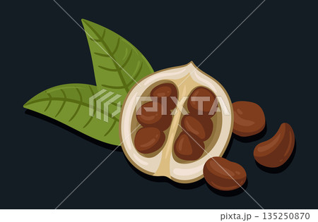 Cocoa beans. Raw cacao chocolate ingredient, natural dessert component flat vector illustration. Delicious cocoa plant Cocoa beans. Raw cacao chocolate ingredient, natural dessert component flat vector illustration. Delicious cocoa plant 135250870