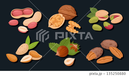 Nuts handfuls. Raw nuts mix, almond, macadamia and walnut mix, vegetarian diet organic snack flat vector illustration set. Delicious nuts 135250880