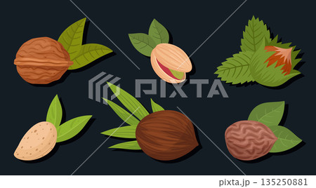 Raw nuts. Almond, cashew and walnut with leaves, vegetarian diet organic snack flat vector illustration set. Delicious nuts on dark background 135250881