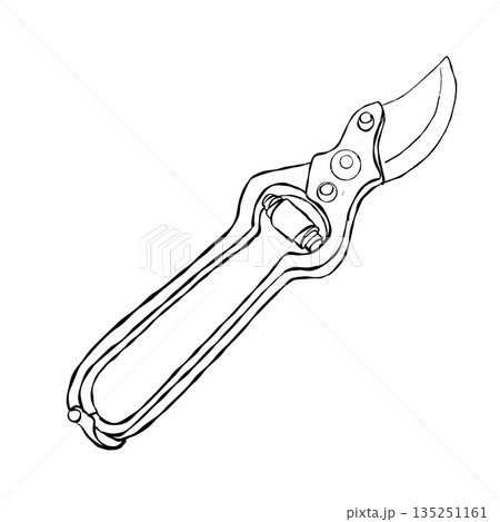 Hand drawn pruning shears secateurs garden tool minimal black line art illustration isolated on white for gardening projects Hand drawn pruning shears secateurs garden tool minimal black line art illustration isolated on white for gardening projects 135251161