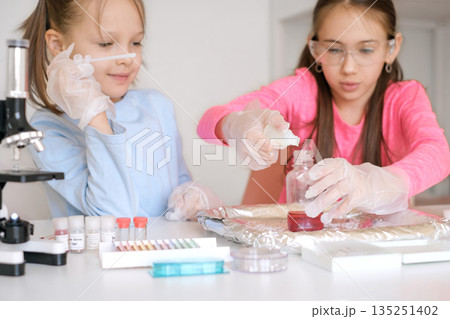 Teamwork of children in a chemistry lesson during laboratory work on mixing chemical elements with reagents Teamwork of children in a chemistry lesson during laboratory work on mixing chemical elements with reagents 135251402