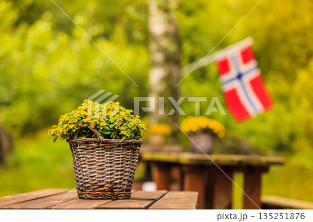 norwegian flag and green picnic site 135251876