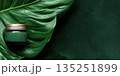 Green cosmetic jar mock-up on large tropical leaf with copy space for branding or design 135251899