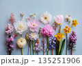 Colorful arrangement of various flowers on a soft blue background showcasing natural beauty 135251906