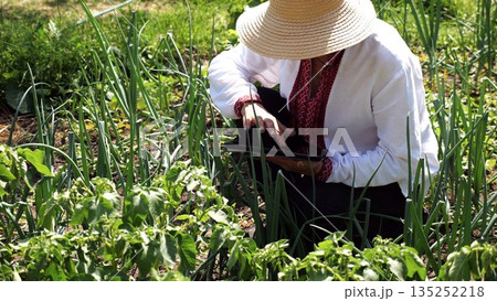 Senior ukrainian man in straw hat using digital tablet on summer garden. Elder male wearing in traditional vyshyvanka monitoring harvest on land. Connection between traditional and modern life Senior ukrainian man in straw hat using digital tablet on summer garden. Elder male wearing in traditional vyshyvanka monitoring harvest on land. Connection between traditional and modern life 135252218