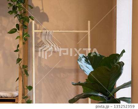 Clothing rack with empty hangers beside indoor plants near a window. Minimal wardrobe, natural light, and slow living interior mood 135252359