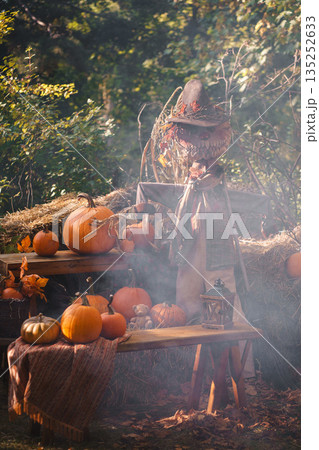 Mystical Fall Scarecrow with Pumpkin Display Mystical Fall Scarecrow with Pumpkin Display 135252633