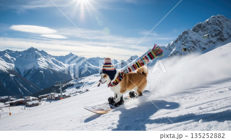 Funny corgi dog snowboarding in the mountains. Cute pet wearing a colorful hat and scarf on a snowy slope at a ski resort. Winter sports and animal adventure concept Funny corgi dog snowboarding in the mountains. Cute pet wearing a colorful hat and scarf on a snowy slope at a ski resort. Winter sports and animal adventure concept 135252882