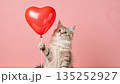 Adorable fluffy kitten holding a red heart balloon on a pink background. Cute cat celebrating Valentine's Day. Love and romance concept with copy space 135252927