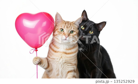 Cute cat couple holding a pink heart balloon. Orange tabby and black kitty celebrating Valentine's Day love. Isolated on white background with copy space 135252929