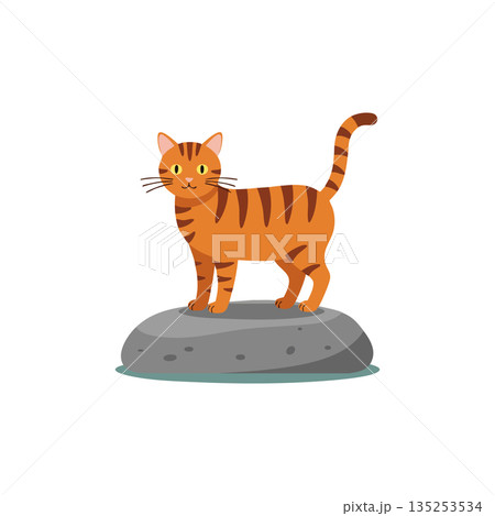 Orange Tabby Cat Standing on Gray Rock Vector Illustration with Striped Fur and Whiskers 135253534