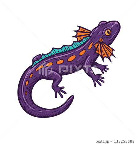 Purple salamander with orange spots and blue ridge detailed vector illustration 135253598