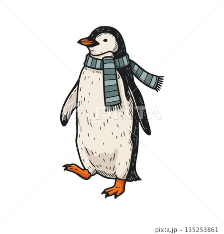 Penguin wearing striped scarf walking winter season bird illustration vector 135253861