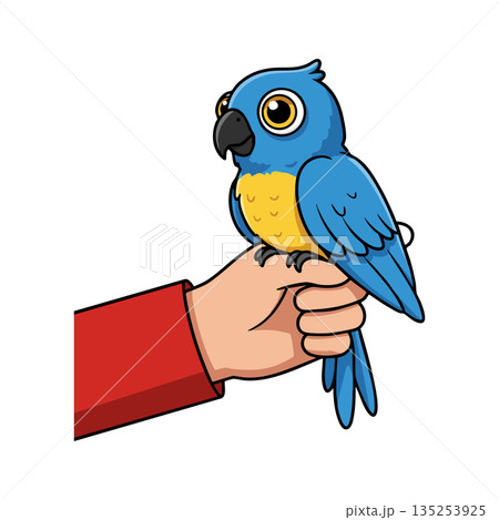 Blue and yellow parrot perched on human hand cartoon vector illustration Blue and yellow parrot perched on human hand cartoon vector illustration 135253925