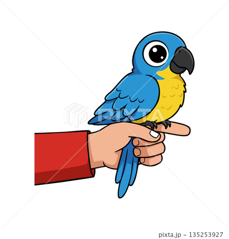 Blue and yellow parrot sitting on human hand cartoon vector illustration Blue and yellow parrot sitting on human hand cartoon vector illustration 135253927