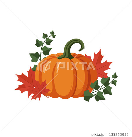 Pumpkin with autumn leaves and green vines seasonal fall harvest vector illustration 135253933