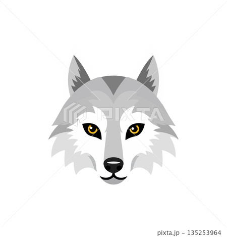 Wolf Head Vector Illustration with Yellow Eyes and Grey Fur Design Wolf Head Vector Illustration with Yellow Eyes and Grey Fur Design 135253964