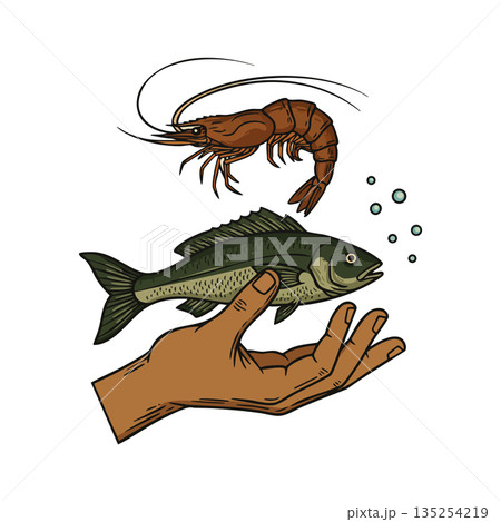 Hand Holding Fresh Fish and Shrimp Vector Illustration for Seafood and Fishing Concepts Hand Holding Fresh Fish and Shrimp Vector Illustration for Seafood and Fishing Concepts 135254219